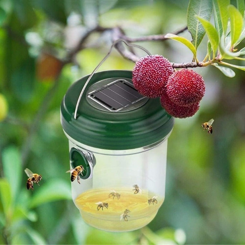 EcoTrap – Solar-Powered Wasp and Hornet Catcher Set