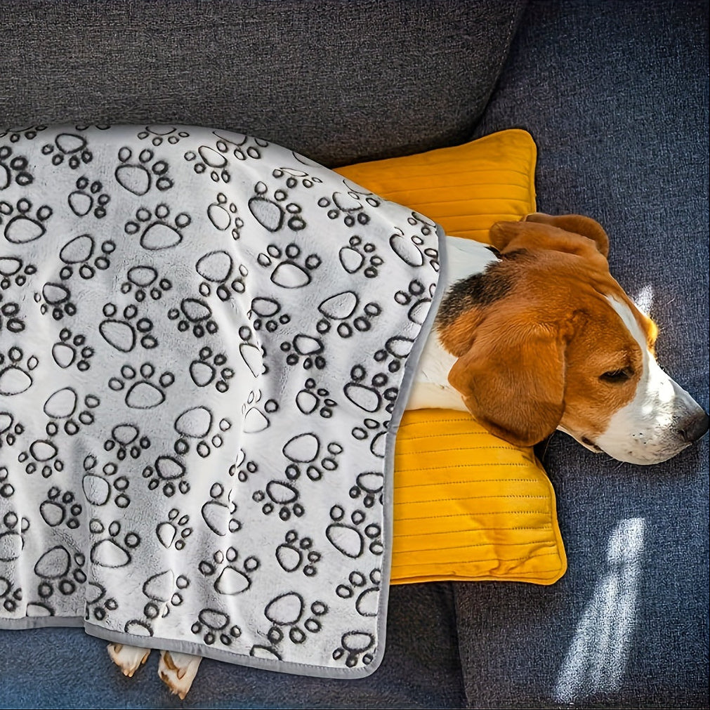 PawComfort - Washable Blanket for Ultimate Coziness