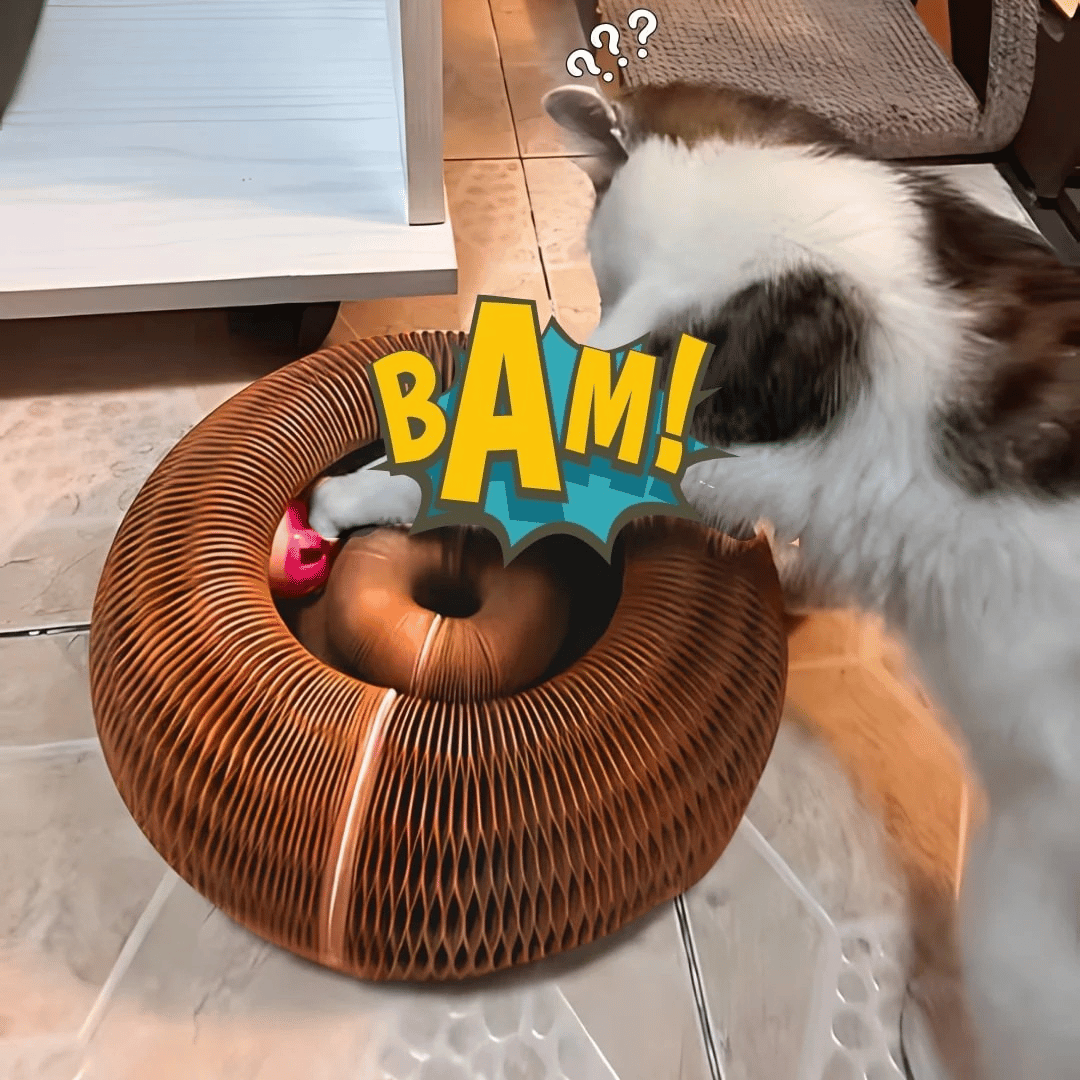 FelineFury™ — Ignite Your Cat’s Wild Side and End Boredom Forever
