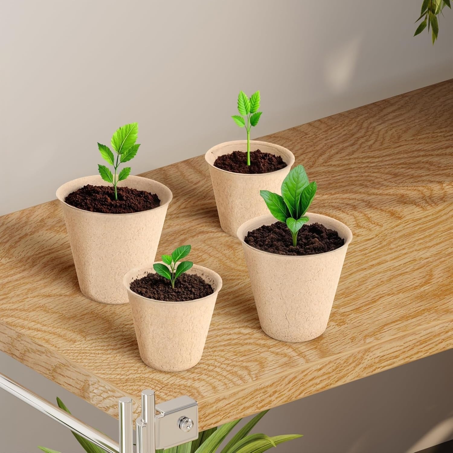 EcoGrow Pots – Sustainable Seedling Starters for Easy Planting