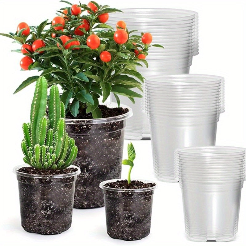 ClearView Seed Pots – 15-Pack for Effortless Seedling Growth