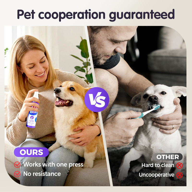 SmileGuard™ — Transform Your Pet’s Breath Into Pure Joy and Unstoppable Cuddles