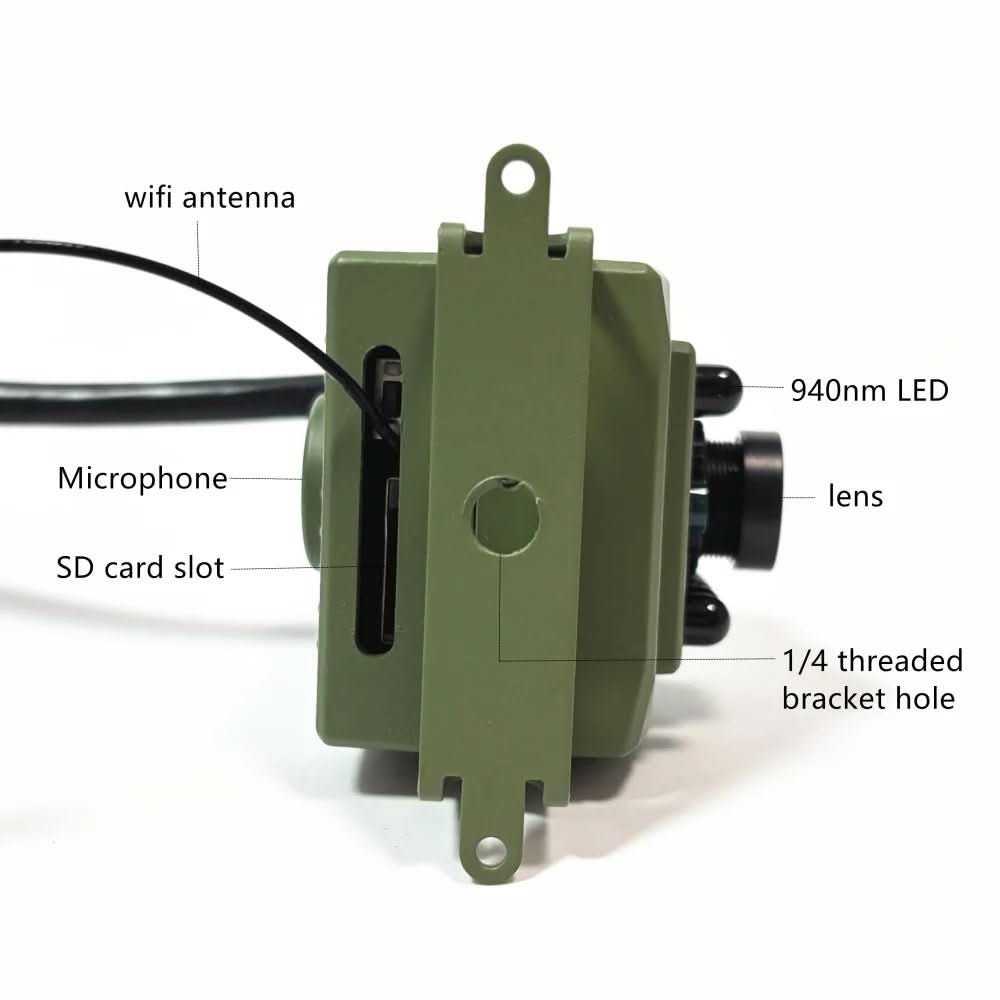 1080P HD Wildlife Camera – Outdoor WiFi Birdwatching Nest Monitor