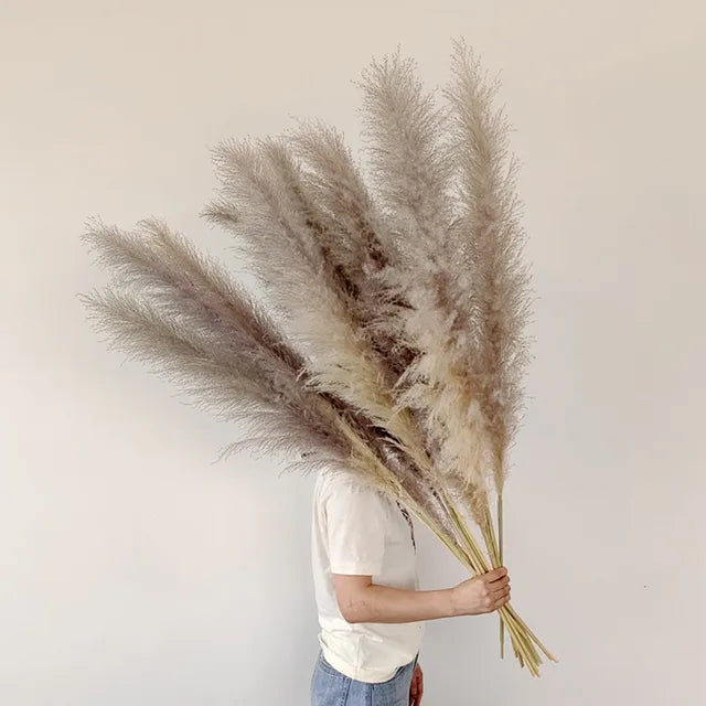 Elegant Dried Grass Stems for Chic Home Styling
