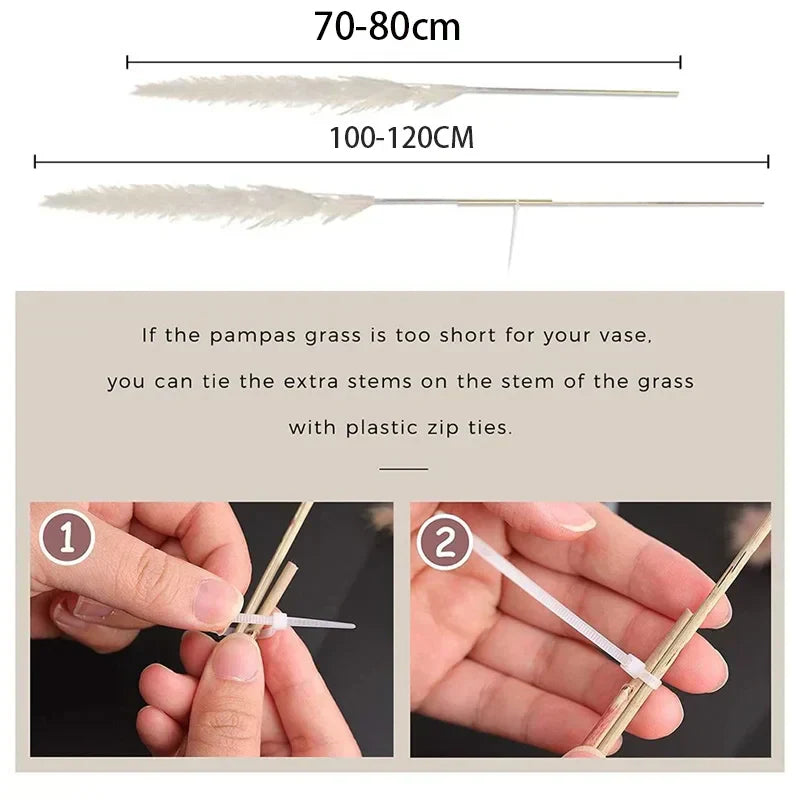 Elegant Dried Grass Stems for Chic Home Styling
