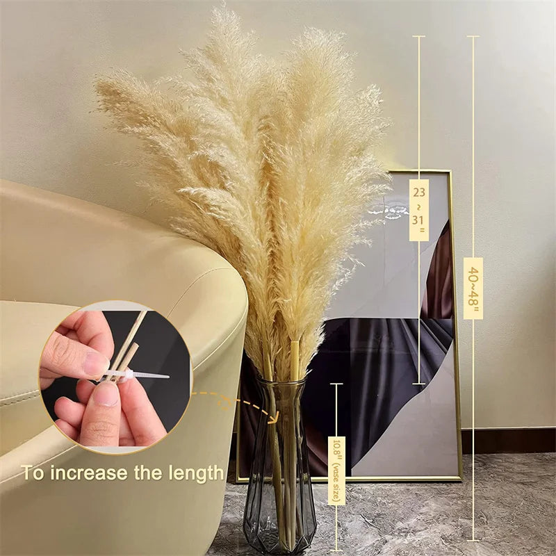 Elegant Dried Grass Stems for Chic Home Styling