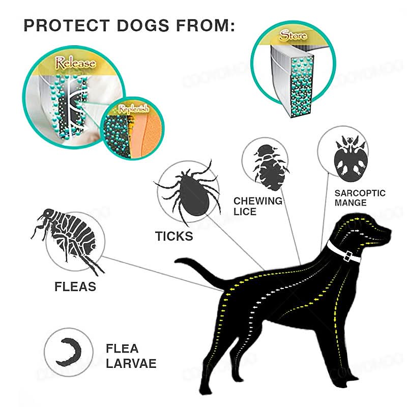Ultimate Pest Defense Collar for Cats and Dogs