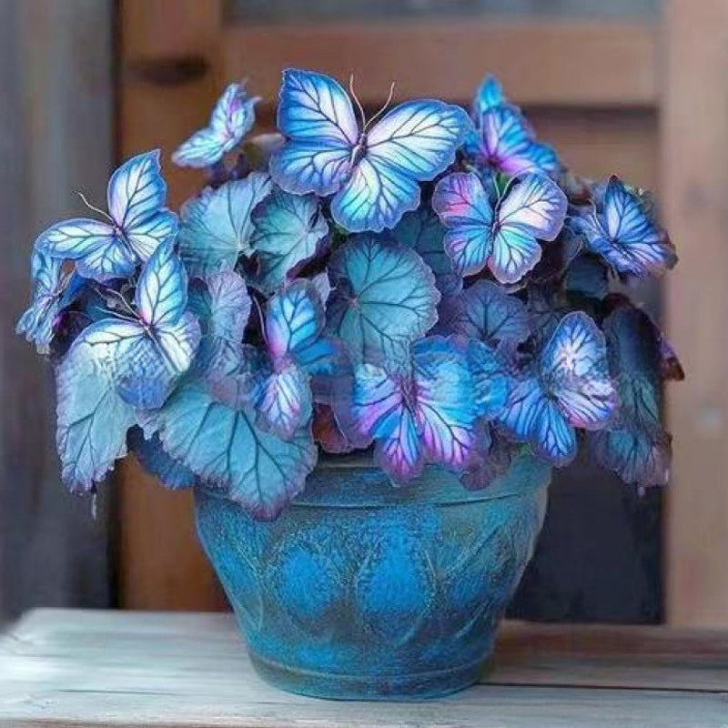 VividFlair™ Butterfly Bloom Seeds — Turn Your Garden Into a Dazzling Butterfly Wonderland That Steals Every Heart
