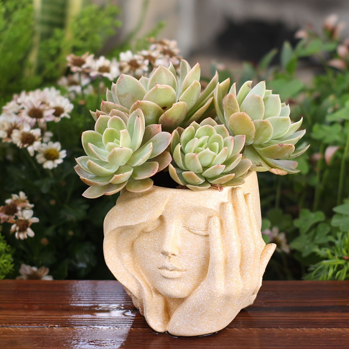 Charming Character Planter for Indoor and Outdoor Greenery