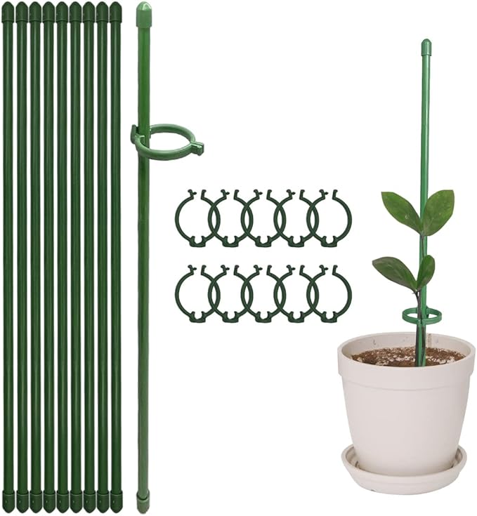StellaStem™ — Rock-Solid Support for Plants That Rise Strong and Proud