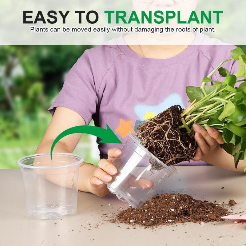 ClearGrow Pack – 20 Count See-Through Nursery Pots for Root Observation