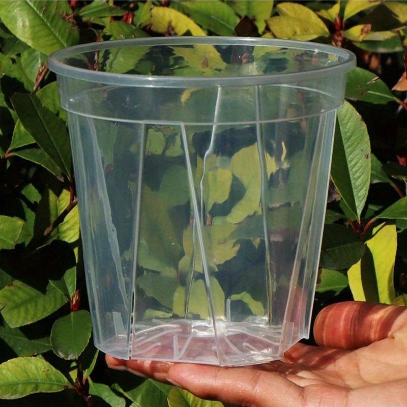 Translucent Planters – Monitor Roots and Foster Plant Health