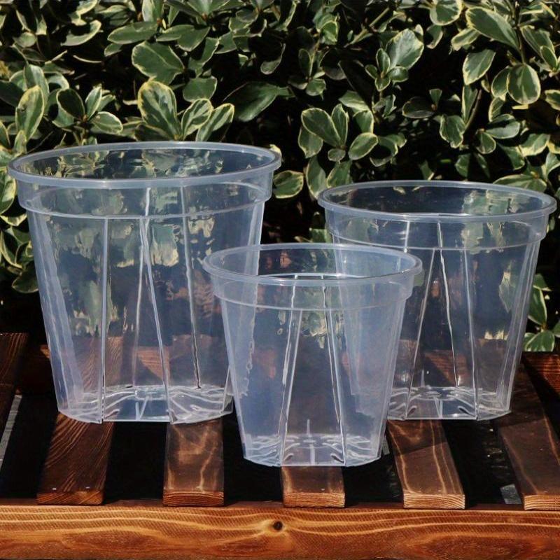 Translucent Planters – Monitor Roots and Foster Plant Health