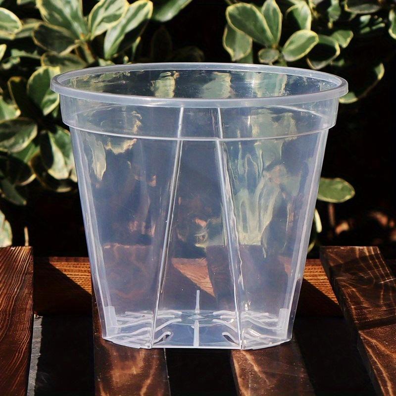 Translucent Planters – Monitor Roots and Foster Plant Health