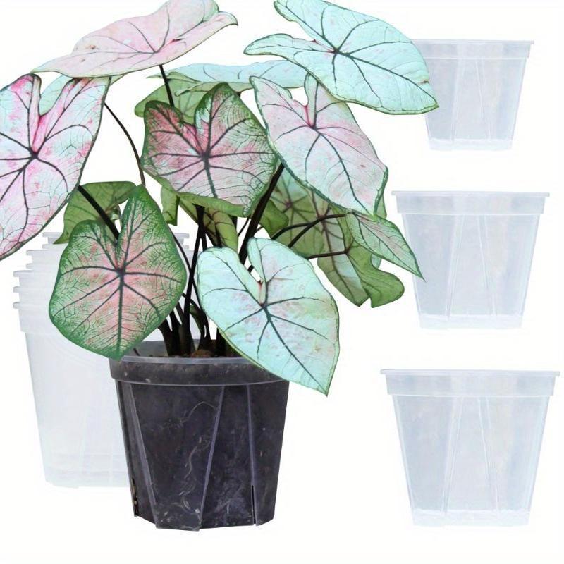 Translucent Planters – Monitor Roots and Foster Plant Health