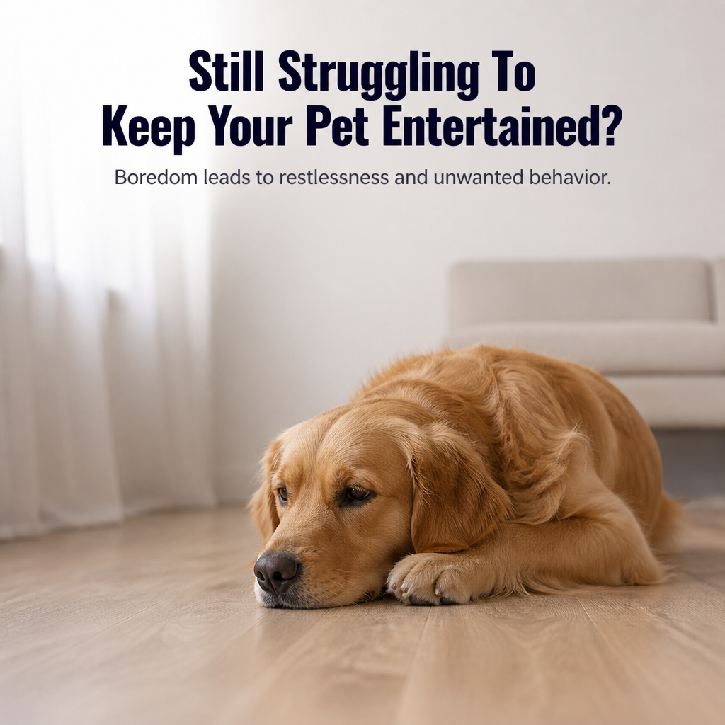 FlexiPaws™ MotionOrb — Ignite Unstoppable Joy and Energy in Your Pet’s Playtime