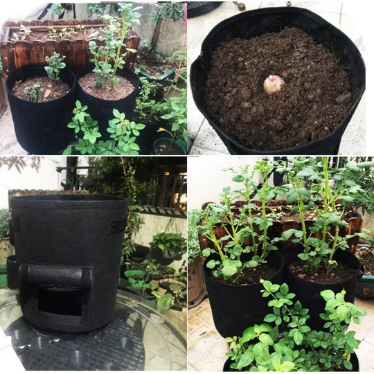 Grow Bag | Breathable Nonwoven Fabric | Velcro-Closure Harvest Flap | HarvestBag