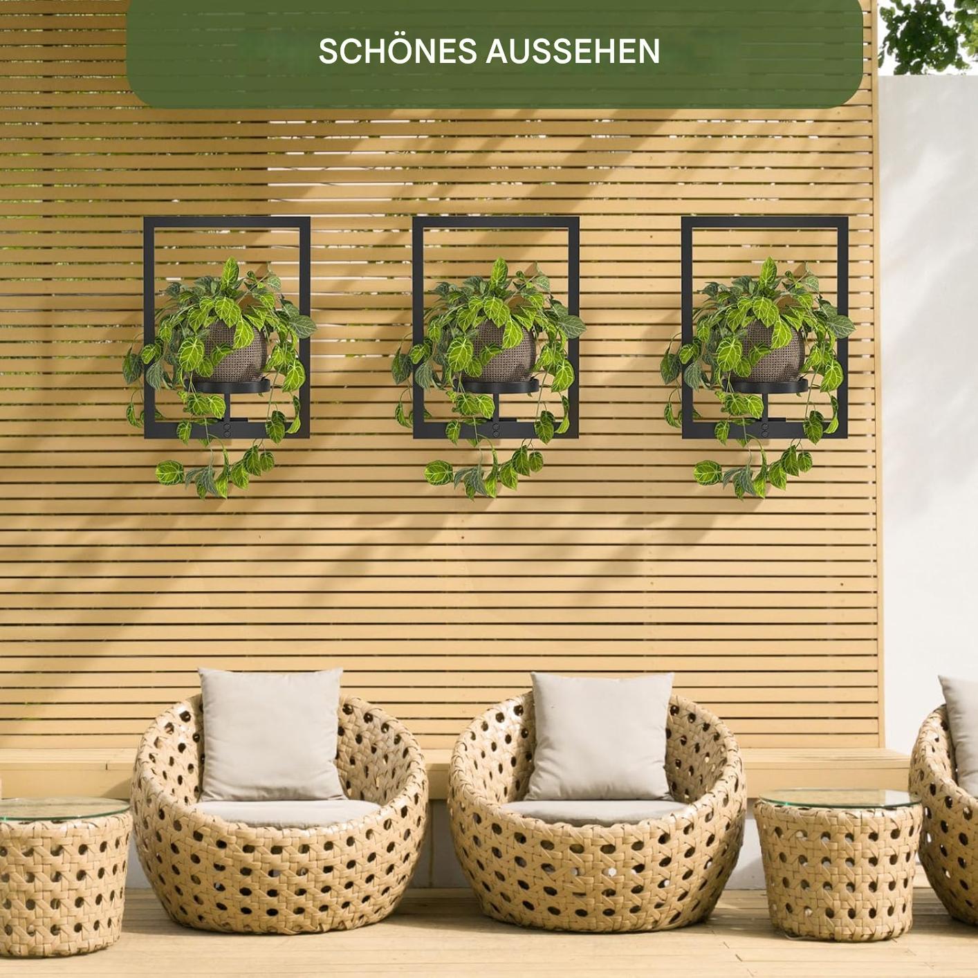Wall Mounted Plant Holder | Metal Frame | Space-Saving | Plantify