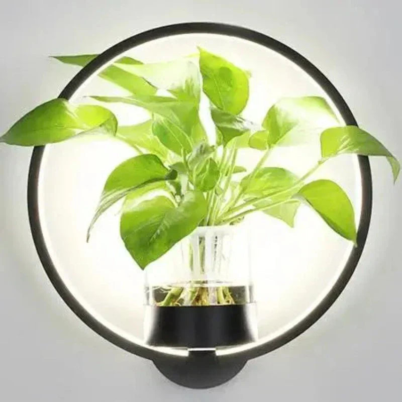 LED Botanical Wall Light with Glass Vase – Round & Oval