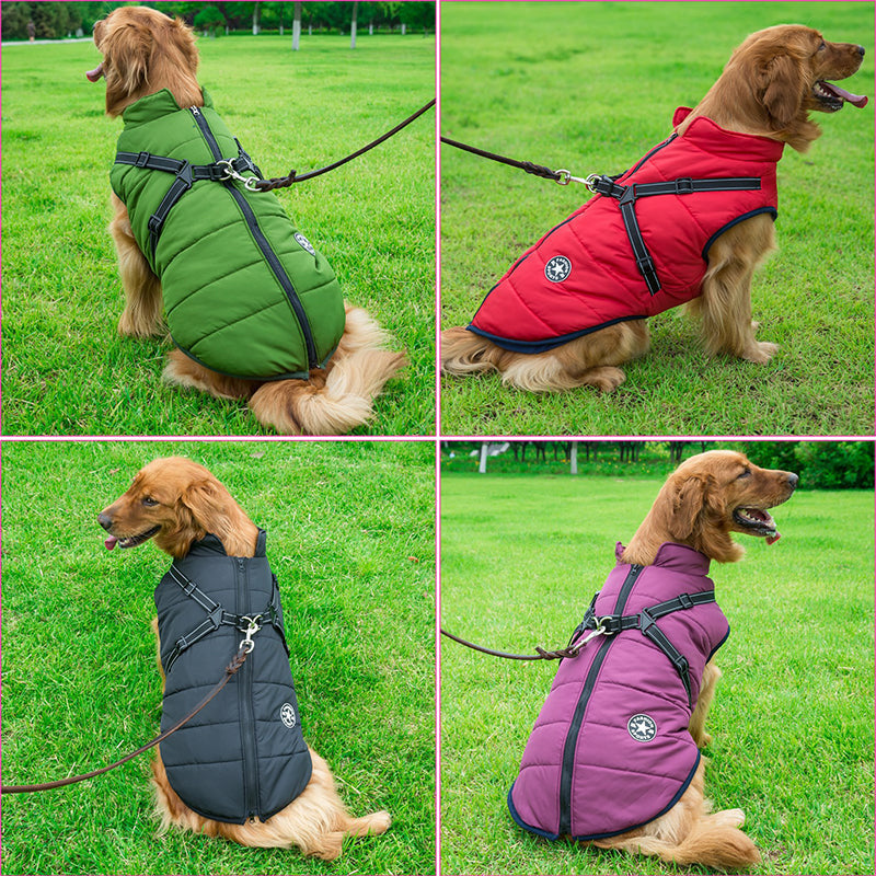 VetraGuard™ — Block Wind, Rain & Cold While Clipping Your Leash in One Move