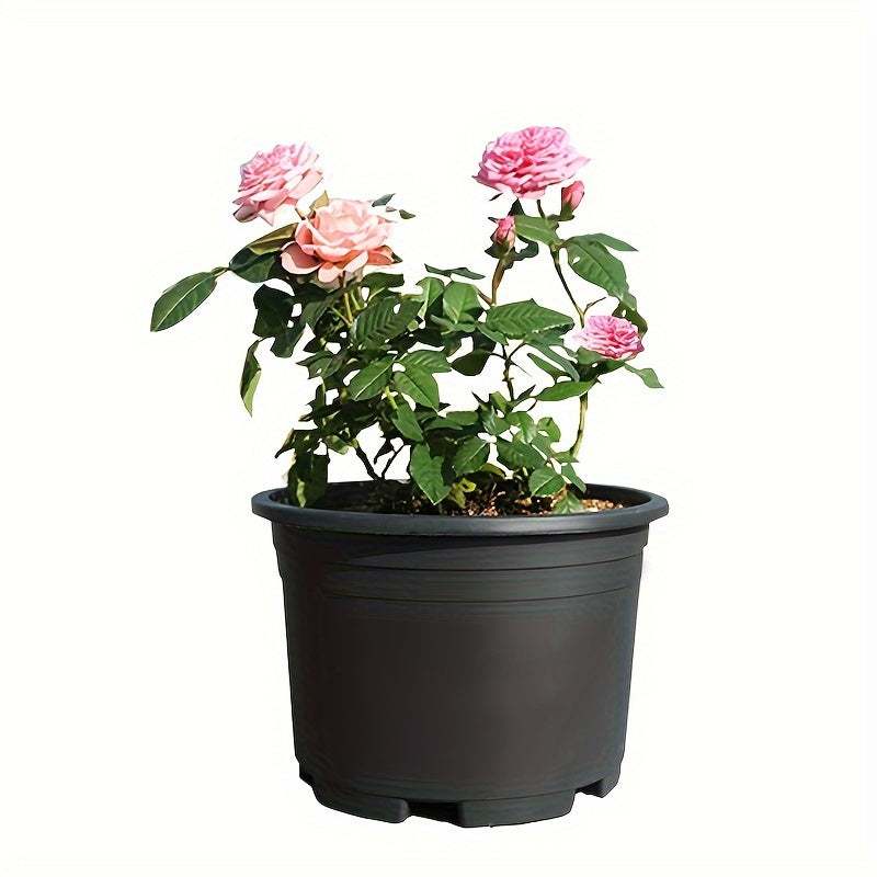 AEROFLOW GARDEN POT – Enhance Plant Health with Superior Airflow