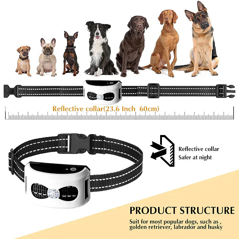 Dual-Function Wireless Pet Containment and Training System
