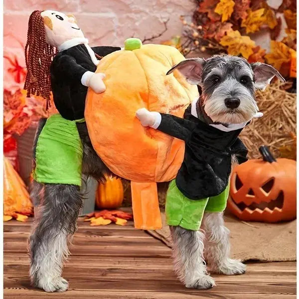 BoneChic™ — Make Your Pet the Star with Irresistible Spooky-Cute Charm