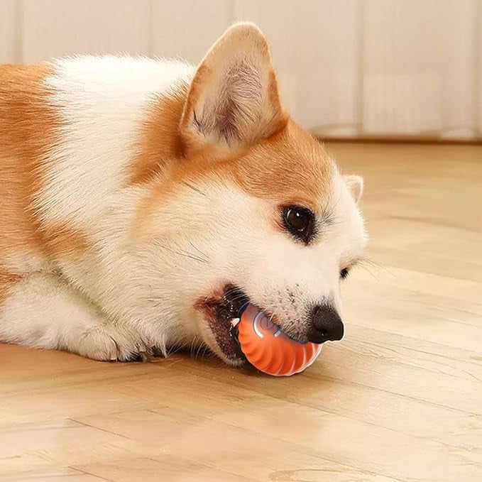 ChaseSpark™ — Ignite Your Dog’s Wild Instinct for Endless Play and Pure Joy