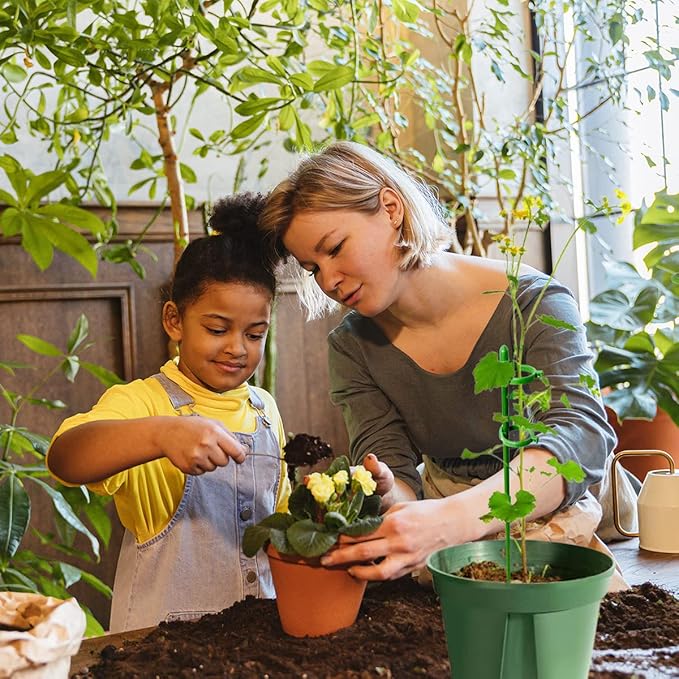 StellaStem™ — Rock-Solid Support for Plants That Rise Strong and Proud