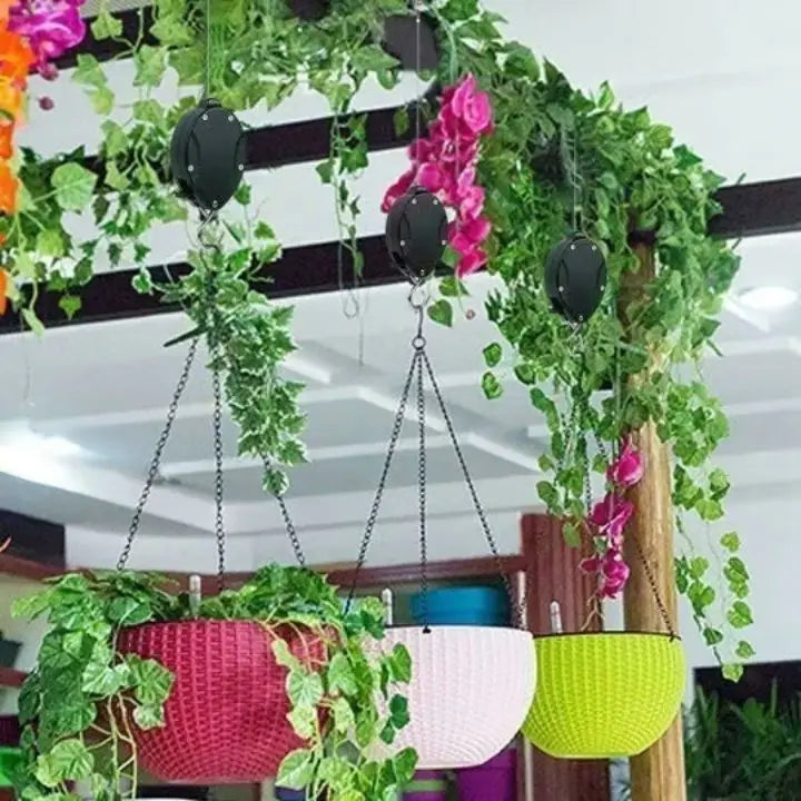 Elegant Hanging Plant Set for Home – Buy 2, Get 2 Free