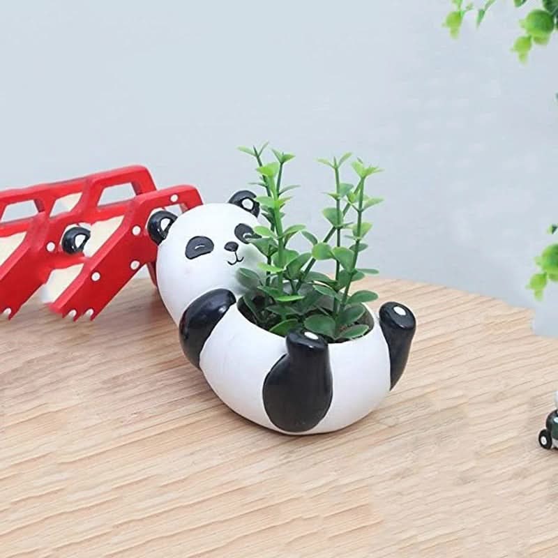 Adorable Panda Succulent Pot for Plants