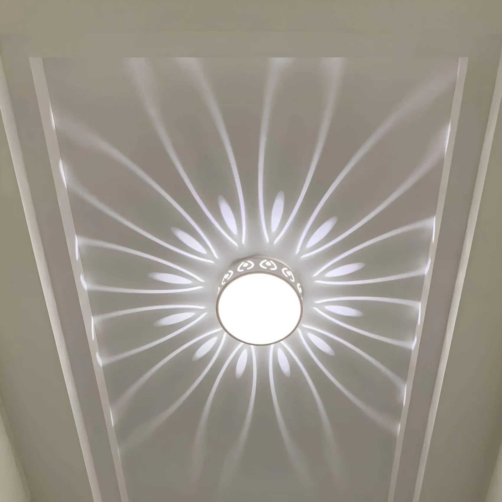 LED Ceiling Light Fixture