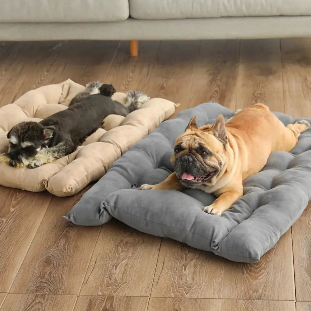Multifunctional Pet Bed – Sofa, Mat, or Cozy Sleeping Cave