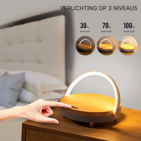 Versatile LED Desk Light with Bluetooth Sound and Charging Hub