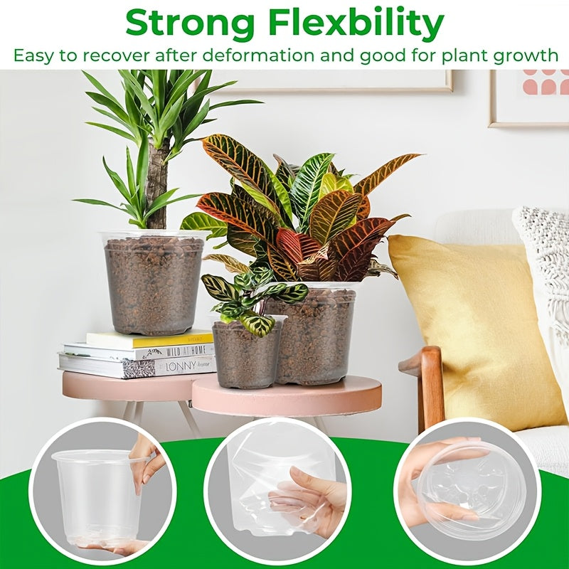 ROOTVIEW GARDEN SET – Clear Pots for Effortless Root Observation