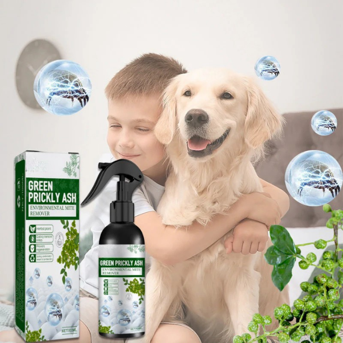 Aeroma™ — Breathe Easy Instantly with a Mite-Free, Fresh Home