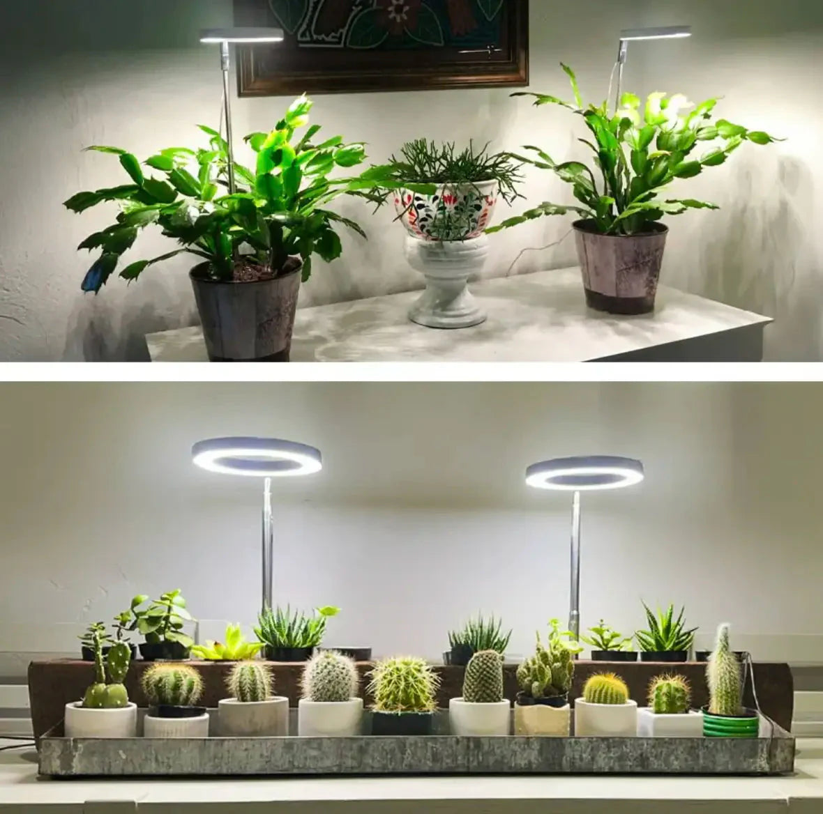 Plant Lamp | Full Spectrum Growth Light | Brightness and Timer Control | PlantGlow