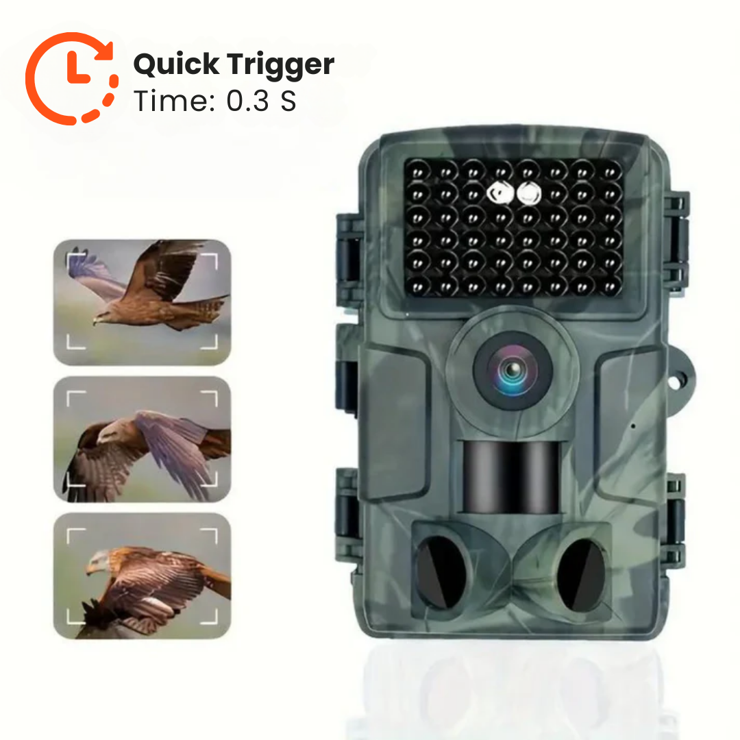 Capture Nature's Wonders with the 60MP 4K Outdoor Camera