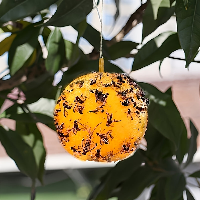BuzzAway – Fruit Fly Catching Sphere Set