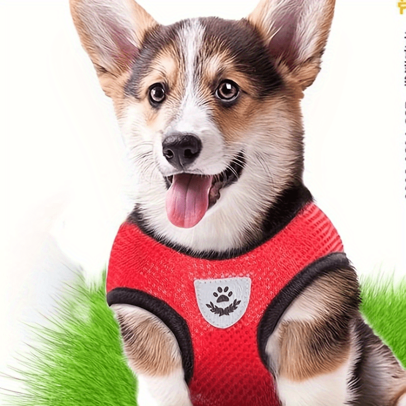 IllumiPet - Reflective Safety Vest with Leash for Pets