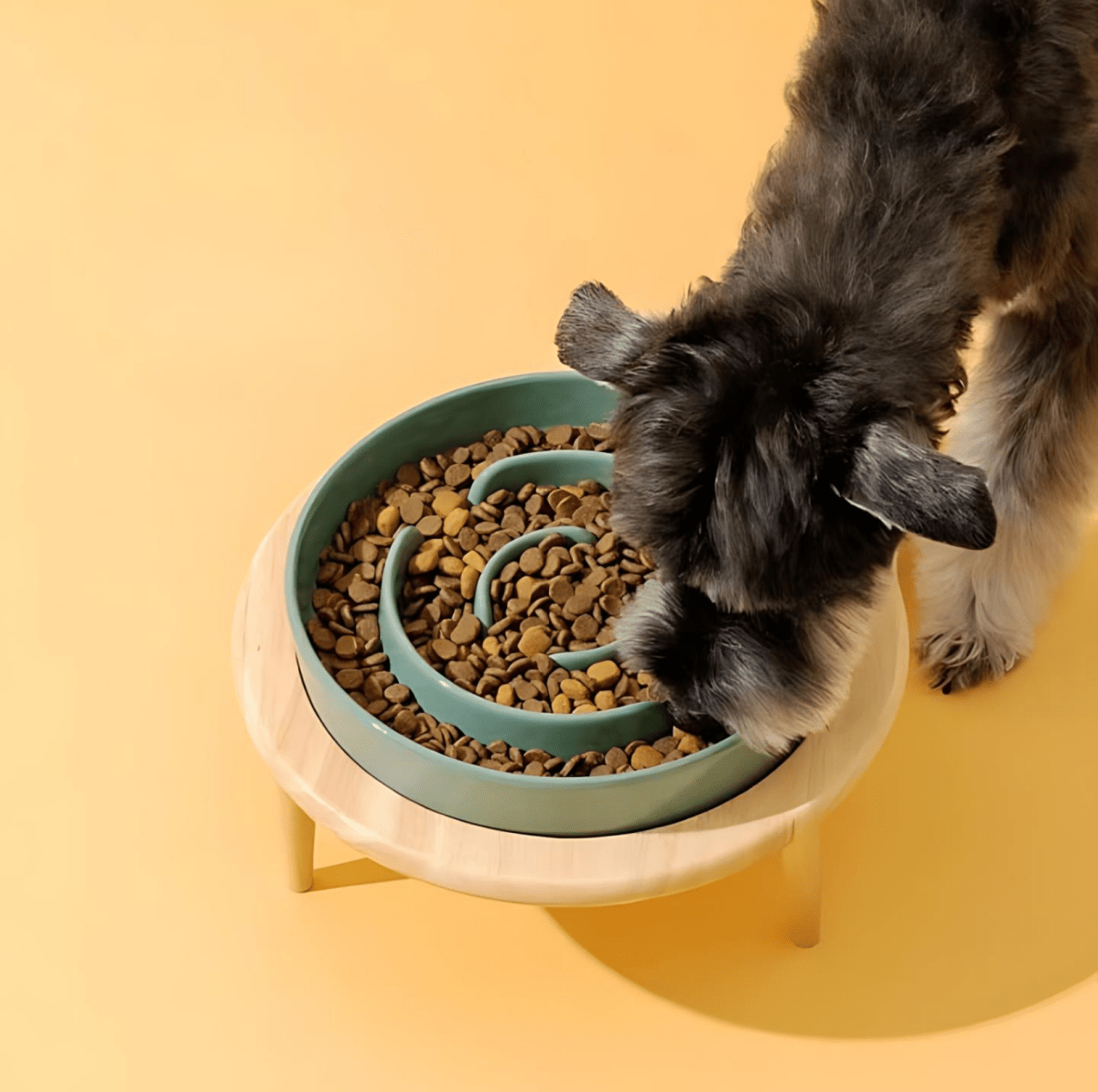Stylish Ceramic Pet Bowl for Healthy Feeding Habits