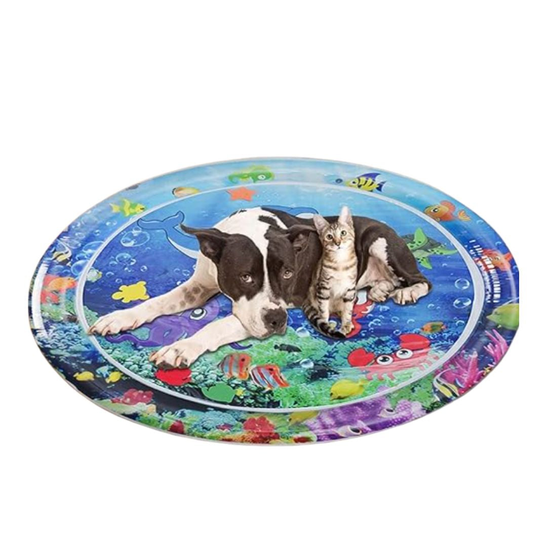 PurrfectPlay™ — Ignite Your Cat’s Wild Joy and Endless Energy Every Day