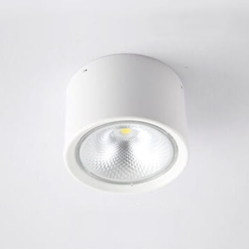 LED Cylinder Ceiling Spotlight