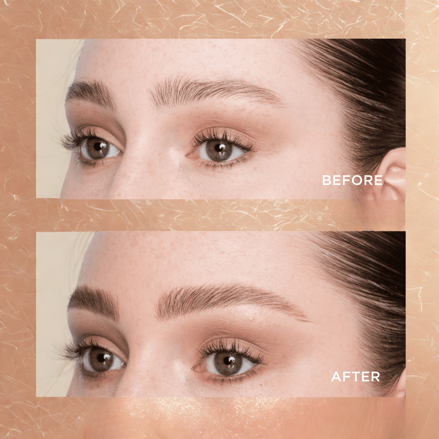 50% Discount Temporary | Lamina Brow