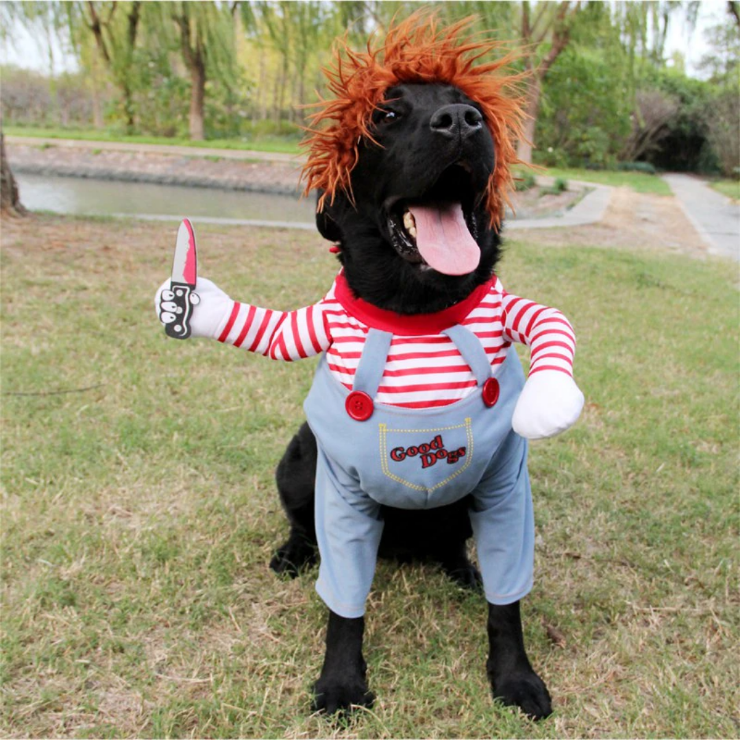 Halloween Costume for Your Dog - Chucky Dog 50% Off