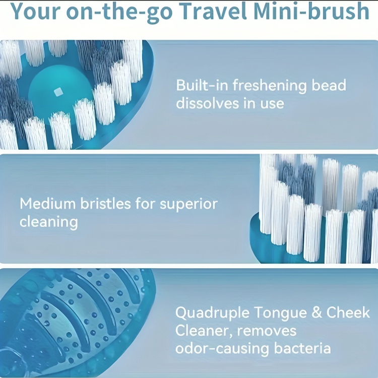Oral Hygiene Kit for Busy Days and Travel – 50% Discount Temporary