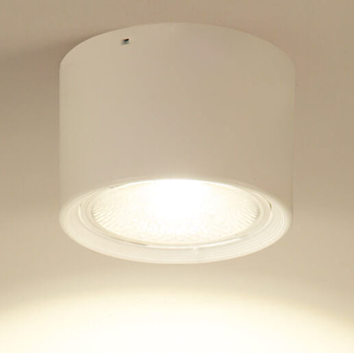 LED Cylinder Ceiling Spotlight