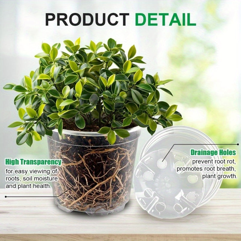 ClearGrow Pack – 20 Count See-Through Nursery Pots for Root Observation