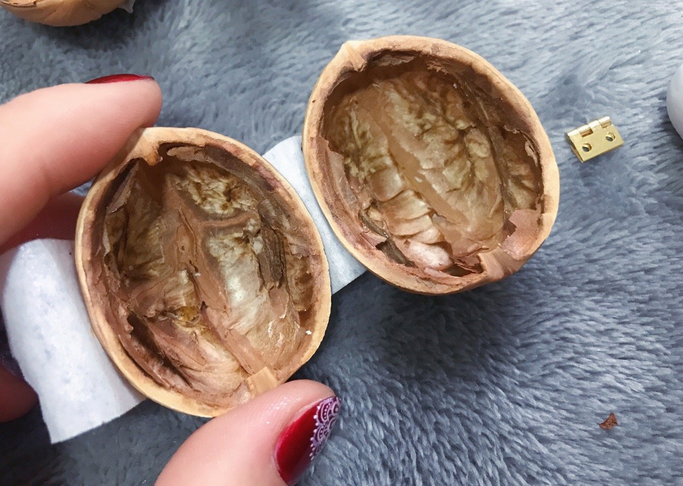 WalnutNest™ — Unlock Magical Moments with a Cozy, Handcrafted Glow