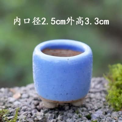 Mini Succulent Pot Set in Ceramic Material